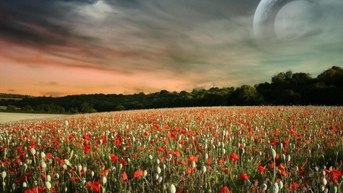 什么是你去了台湾才知道的事？